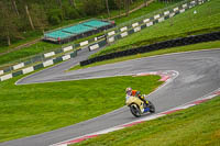 cadwell-no-limits-trackday;cadwell-park;cadwell-park-photographs;cadwell-trackday-photographs;enduro-digital-images;event-digital-images;eventdigitalimages;no-limits-trackdays;peter-wileman-photography;racing-digital-images;trackday-digital-images;trackday-photos